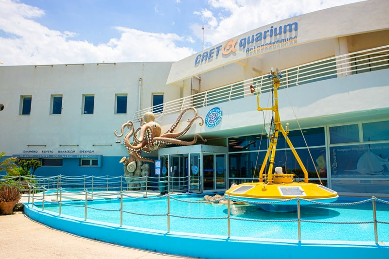 Akwarium Cretaquarium