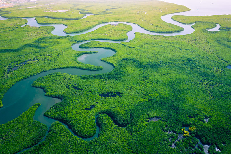 Rezerwat Abuko w Gambii