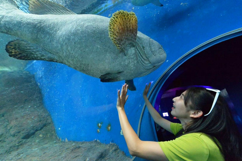 Akwarium Underwater World w Pattayi