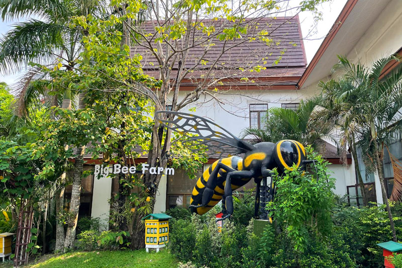 Farma Wielkich Pszczół w Pattayi