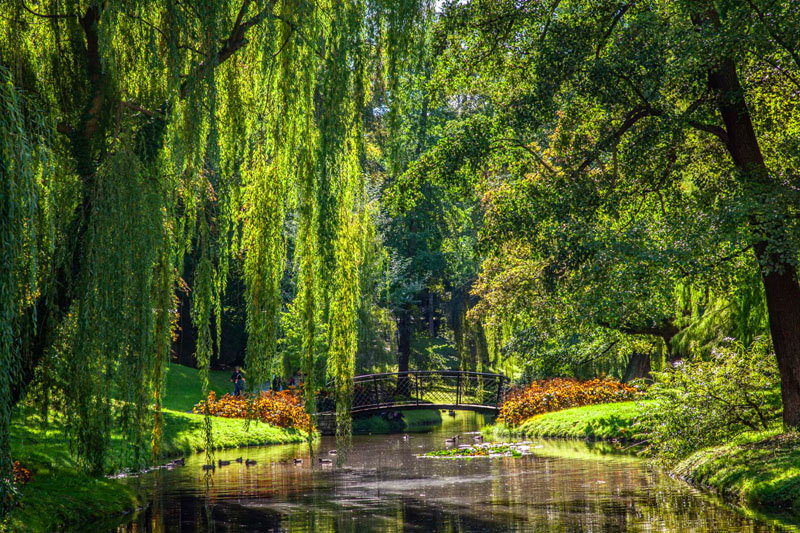 Park Centralny im. J. Czajkowskiego w Brzegu