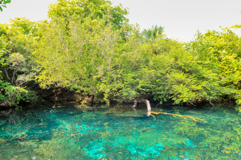 Rezerwat przyrody Indigenous Eyes Ecological Reserve w Punta Cana