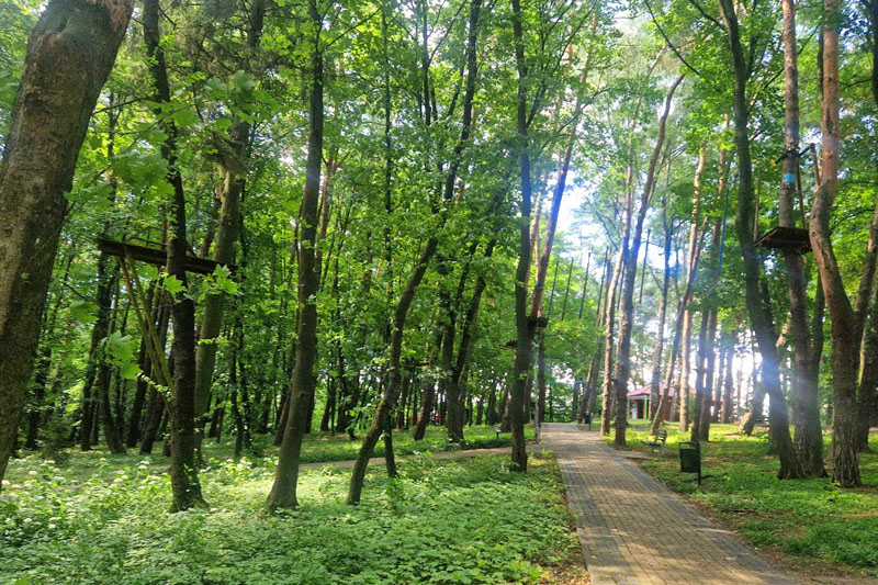 Park Miejski im. Rotmistrza Witolda Pileckiego w Krośnie