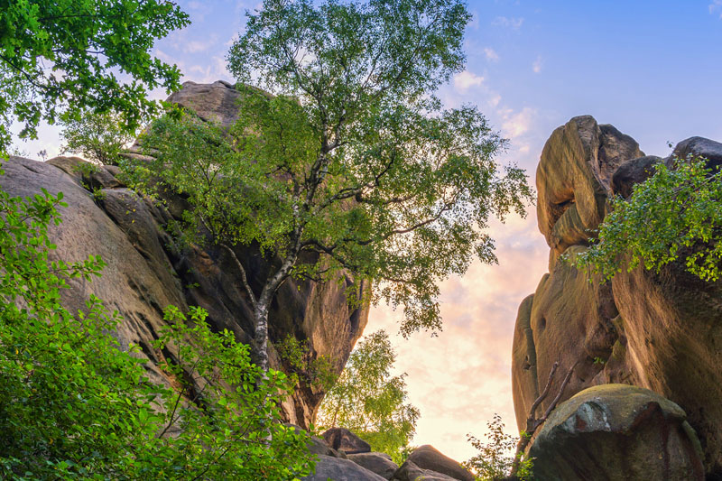 Rezerwat przyrody Prządki